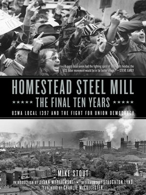 cover image of Homestead Steel Mill–the Final Ten Years